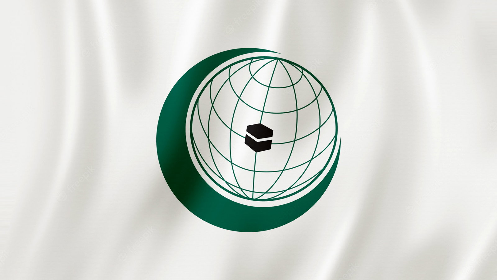 OIC Deeply Regrets Security Council’s Failure to Accept Palestine’s ...