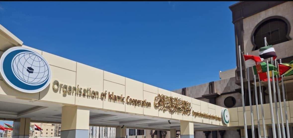 OIC calls for an international investigation into Israeli crimes and ...