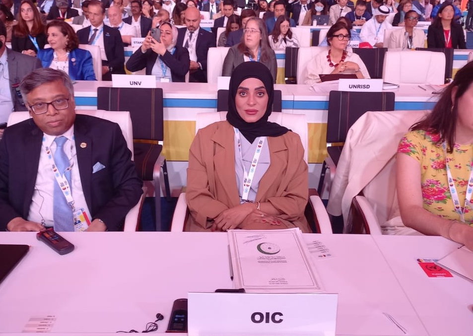 General Secretariat Participates in the Second World Summit for Social ...
